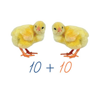 Счетный материал на магнитах "Цыплята". - «globural.ru» - Чайковский