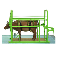 Наглядный макет «Методы и устройства для фиксации КРС» - «globural.ru» - Чайковский