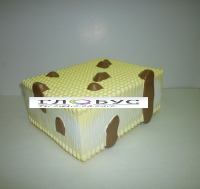 Модель Строение клеточной оболочки - «globural.ru» - Чайковский