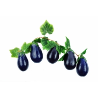 Ветка муляжей "Баклажаны" - «globural.ru» - Чайковский