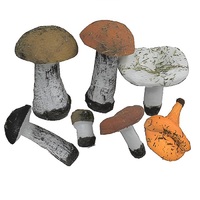 Набор муляжей грибов 7 штук - «globural.ru» - Чайковский