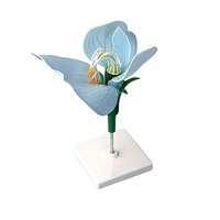 Модель цветка гороха - «globural.ru» - Чайковский