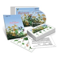 Комбинированное наглядное пособие «Растения» - «globural.ru» - Чайковский