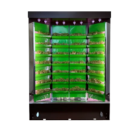 Вертикальная ферма "Моя Микрозелень" комплектация "Театро настольная" - «globural.ru» - Чайковский