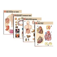Комплект таблиц по биологии демонстрационный "Человек и его здоровье 1" (20 таблиц, формат А1, лам.) - «globural.ru» - Чайковский