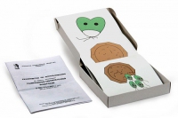 Модель-аппликация Размножение одноклеточной водоросли (набор из 11 карт) - «globural.ru» - Чайковский