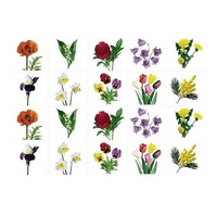 Комплект карточек. Серия наглядных пособий "Запоминай, играй, считай". Цветы. - «globural.ru» - Чайковский