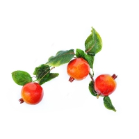 Ветка муляжей "Гранат" - «globural.ru» - Чайковский