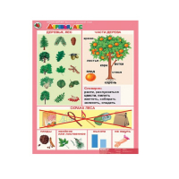 Комплект таблиц. Окружающий мир 5-6 лет. "Животные и растения". - «globural.ru» - Чайковский