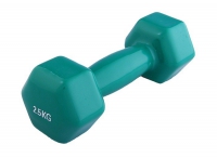 Гантель виниловая 2,5 кг - «globural.ru» - Чайковский