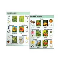 Коллекция "Семена и плоды" (вариант 2) - «globural.ru» - Чайковский