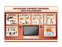 Многофункциональный интерактивный стенд-тренажер "Оказание первой помощи пострадавшим" для учащихся общеобразовательных учреждений - «globural.ru» - Чайковский