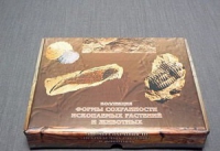 Коллекция "Формы сохранности ископаемых растений и животных" - «globural.ru» - Чайковский