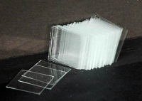 Стекло покровное (упаковка 100 штук) - «globural.ru» - Чайковский