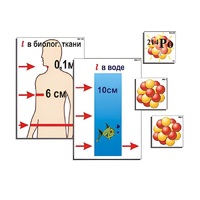 Модель-аппликация "Явление радиоактивности" (ламинированная) - «globural.ru» - Чайковский