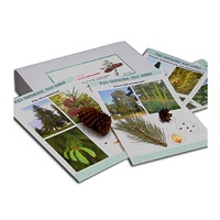 Коллекция "Голосеменные растения" (вариант 2) - «globural.ru» - Чайковский