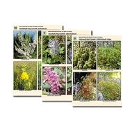 Комплект таблиц по ботанике раздаточных"Многообразие растений. Лесные и луговые" (16 штук, формат А4, лам) - «globural.ru» - Чайковский