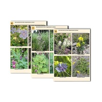 Комплект таблиц по ботанике раздаточных "Многообразие растений. Придорожные и сорные" (16 штук, формат А4, лам) - «globural.ru» - Чайковский