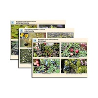Комплект таблиц по ботанике раздаточных "Многообразие растений. Водные и прибрежные" (16 штук, формат А4, лам) - «globural.ru» - Чайковский