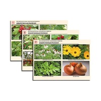 Комплект таблиц по ботанике раздаточных "Многообразие растений. Лекарственные и ядовитые"(16 штук, формат А4,лам) - «globural.ru» - Чайковский