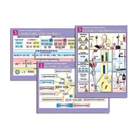 Комплект таблиц по органической химии "Реакции органических веществ" (6 таблиц, формат А1, лам.) - «globural.ru» - Чайковский