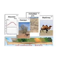Модель-аппликация "Природные зоны" (ламинированная) - «globural.ru» - Чайковский