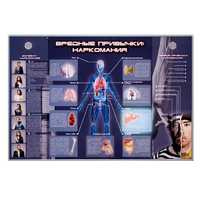 Электрифицированный стенд "Вредные привычки: наркомания" - «globural.ru» - Чайковский