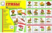 Демонстрационные карточки  "Грибы съедобные и не съедобные" - «globural.ru» - Чайковский