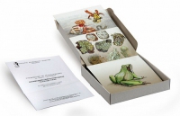 Модель-аппликация Взаимодействия в природных сообществах (набор из 23 карт) - «globural.ru» - Чайковский