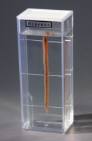 Влажный препарат Нереида - «globural.ru» - Чайковский