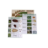 "Шишки, плоды, семена деревьев и кустарников" - «globural.ru» - Чайковский