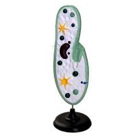 Модель инфузории-туфельки - «globural.ru» - Чайковский