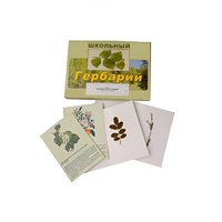 Гербарий "Деревья и кустарники" (22 вида, с иллюстрациями) - «globural.ru» - Чайковский