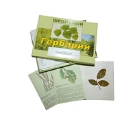 Гербарий "Дикорастущие растения" (30 видов, с иллюстрациями) - «globural.ru» - Чайковский