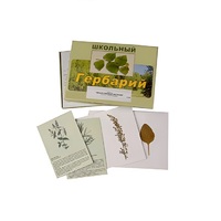 Гербарий "Лекарственные растения" (22 вида, с иллюстрациями) - «globural.ru» - Чайковский