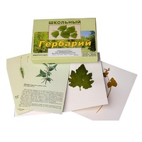 Гербарий "Систематика растений. Высшие споровые и семенные" (раздаточный) - «globural.ru» - Чайковский