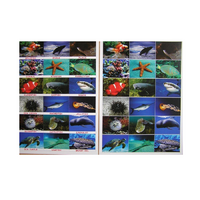 Английское лото "Подводный мир" - «globural.ru» - Чайковский