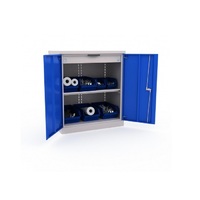 Шкаф инструментальный 181/2 №7  - «globural.ru» - Чайковский