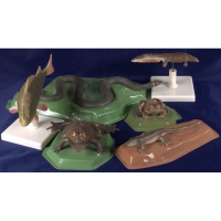 Комплект моделей "Позвоночные животные" (8 штук) - «globural.ru» - Чайковский