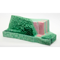 Модель "Структура листа" - «globural.ru» - Чайковский