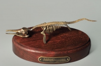 Модель скелета ихтиозавра Ichthyosaurus - «globural.ru» - Чайковский
