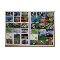 Английское лото "На прогулке" - «globural.ru» - Чайковский