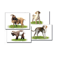 Набор карточек "Домашние животные" (раздаточные) - «globural.ru» - Чайковский