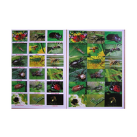 Английское лото "Насекомые" - «globural.ru» - Чайковский