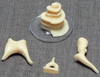 Модель "Косточки слуховые" - «globural.ru» - Чайковский