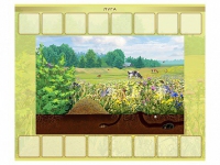 Магнитно-маркерный плакат "Луга" с набором магнитных карточек + методические рекомендации - «globural.ru» - Чайковский