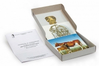 Модель-аппликация Цикл развития бычьего цепня (набор из 7 карт) - «globural.ru» - Чайковский