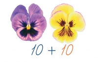 Счетный материал на магнитах "Анютины глазки" - «globural.ru» - Чайковский