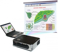 Диск с электронными плакатами, презентациями (электронный учебник) по биологии (150 тем)  - «globural.ru» - Чайковский