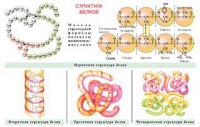 Плакаты и таблицы по общей химии - «globural.ru» - Чайковский